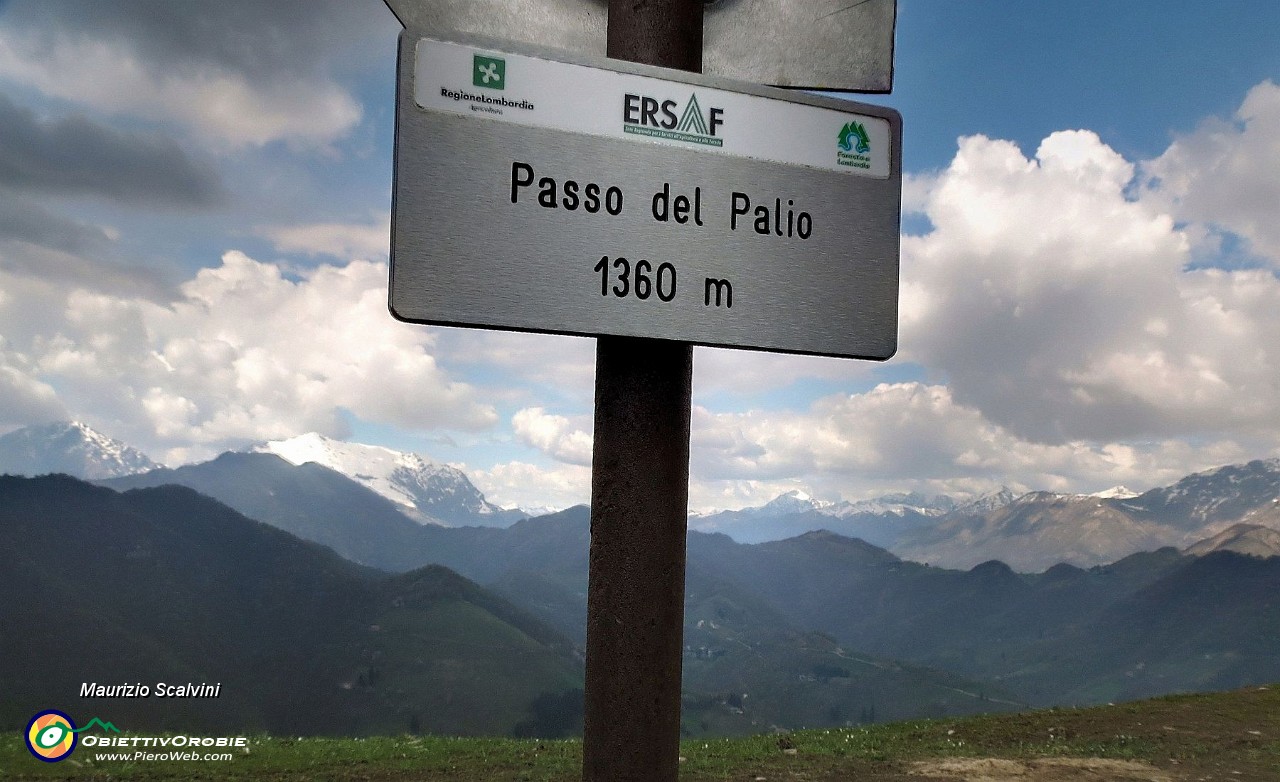 69 Passo del Palio....JPG